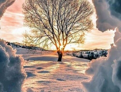 The Sun, the Light & the New Year