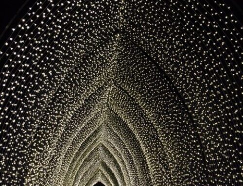 The Marriage of Light and Dark