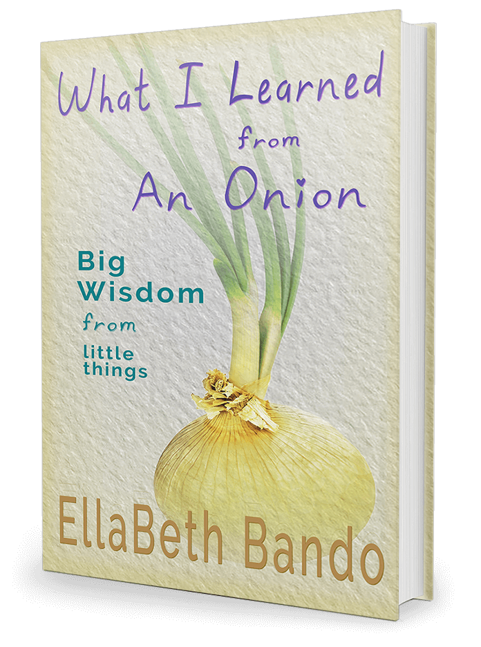 What I Learned from An Onion: Big Wisdom from Little Things