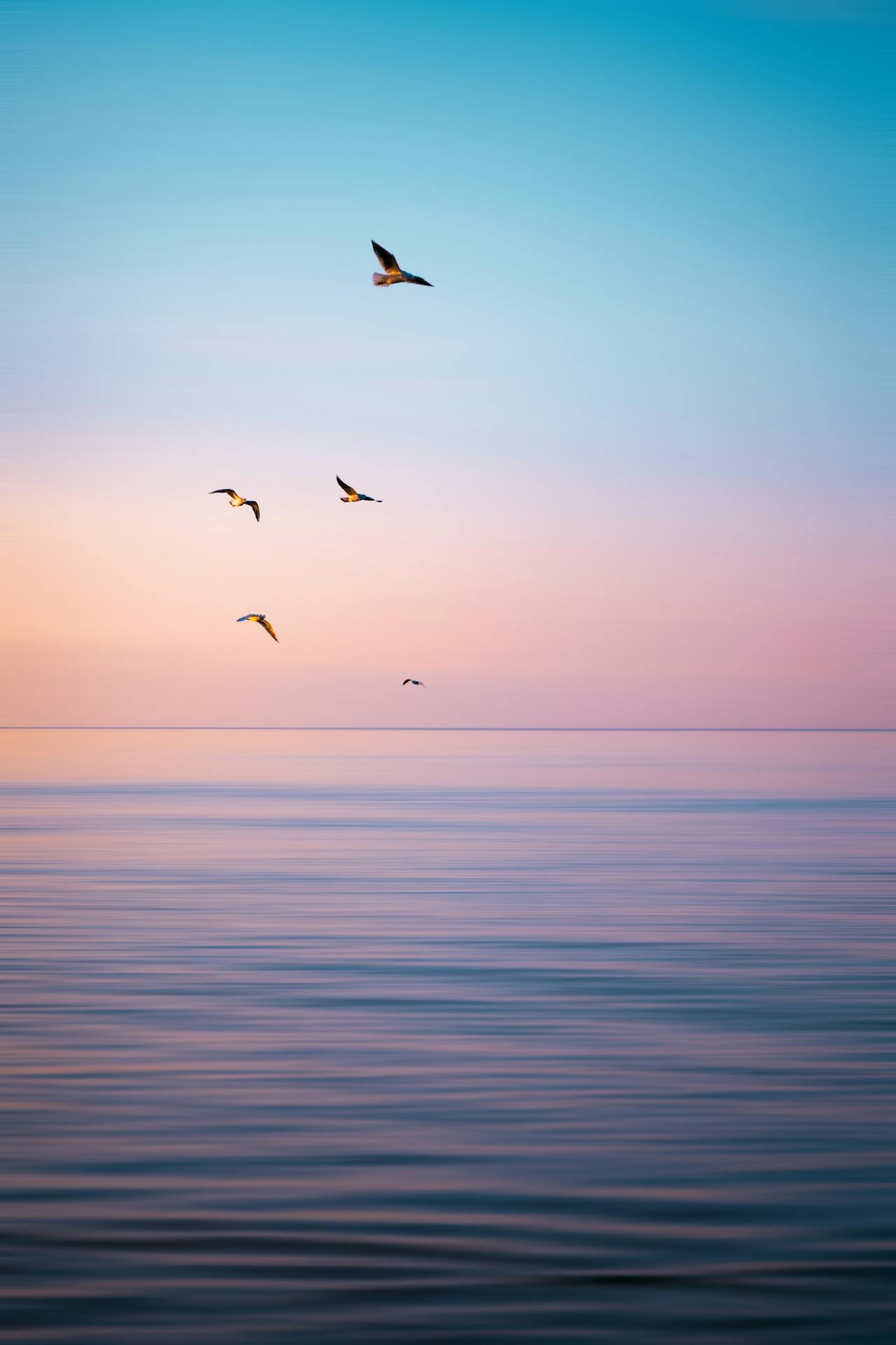 pexels-iurii-laimin-78973777-10906153